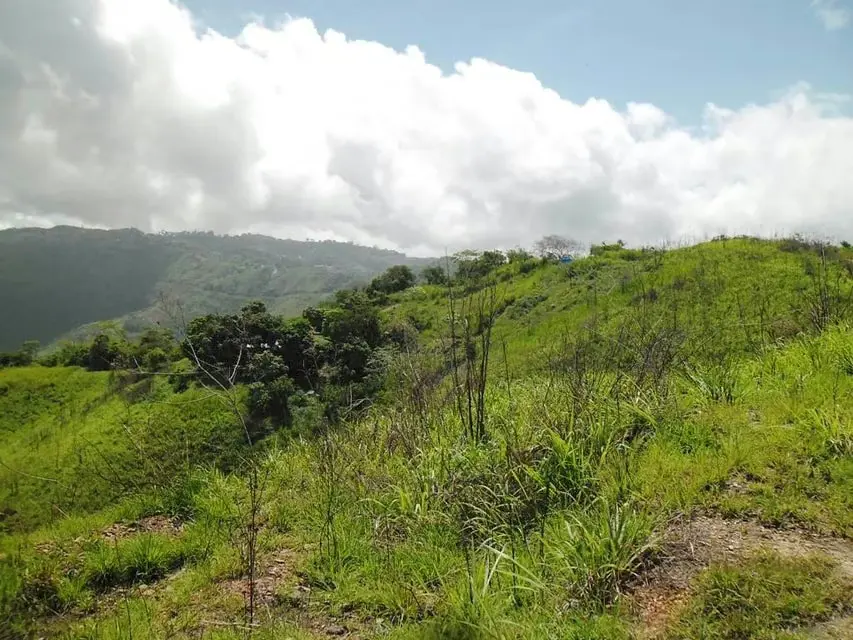 Terreno (Residencial) en Venta en El Hatillo, Distrito Metropolitano - 3