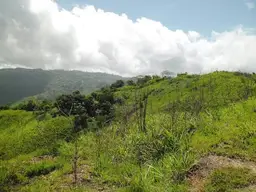 Vista 3