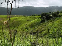 Vista 4