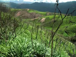 Vista 5