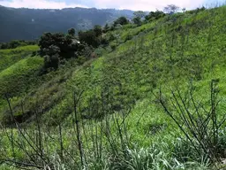Vista 6