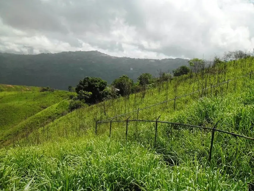 Terreno (Residencial) en Venta en El Hatillo, Distrito Metropolitano - 9