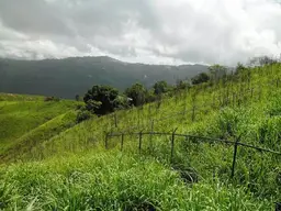 Vista 9