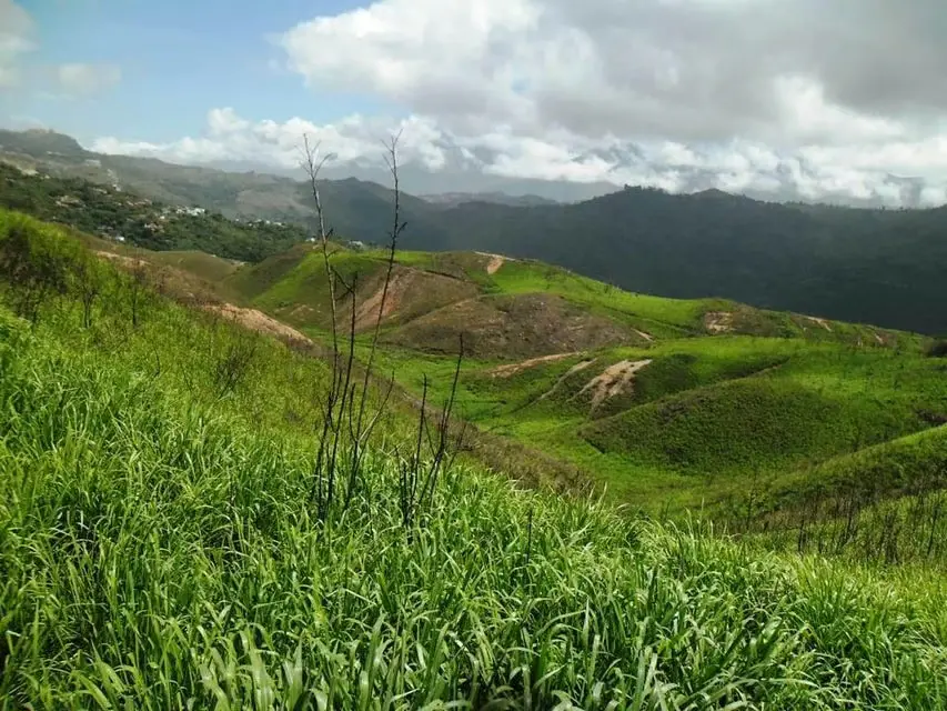 Terreno (Residencial) en Venta en El Hatillo, Distrito Metropolitano - 10