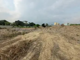 View 5