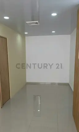 Vista 3