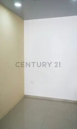 Vista 4