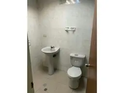 Vista 24