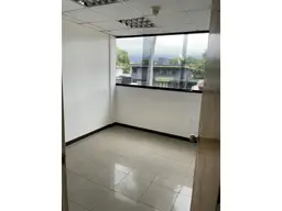 Vista 31