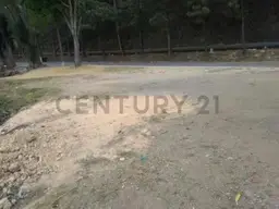 View 1
