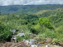 View 6