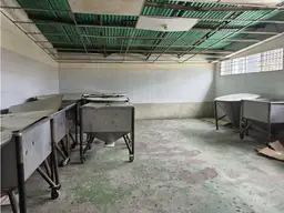 Vista 13