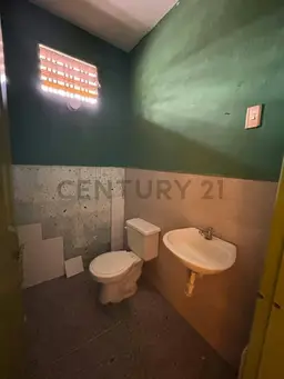 Vista 5