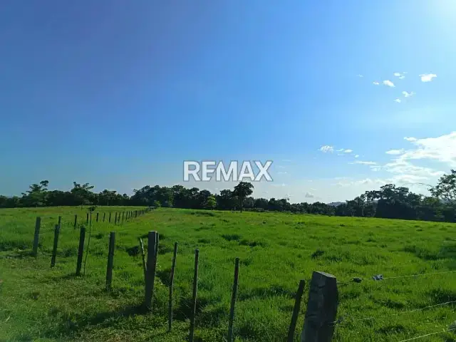 ​Se vende extraordinaria finca de 90 Hectáreas en el Sector Guabinas Municipio: Ayacucho, Estado Táchira muy cerca de la autopista La Fría-San Cristóbal
