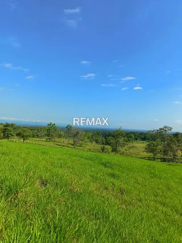 ​Se vende extraordinaria finca de 90 Hectáreas en el Sector Guabinas Municipio: Ayacucho, Estado Táchira muy cerca de la autopista La Fría-San Cristóbal - 6