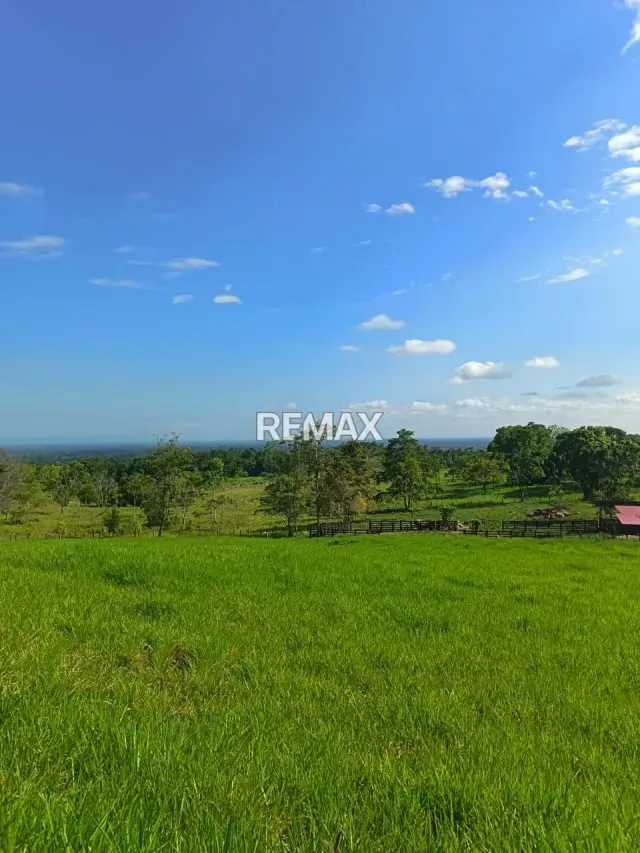 ​Se vende extraordinaria finca de 90 Hectáreas en el Sector Guabinas Municipio: Ayacucho, Estado Táchira muy cerca de la autopista La Fría-San Cristóbal - 7