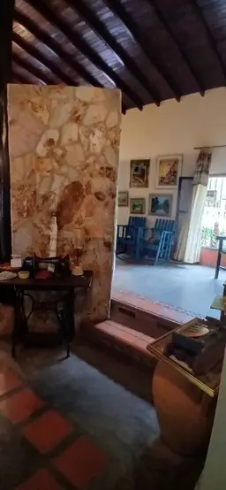 Vista 19