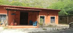 Vista 29