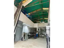 Vista 4