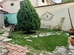 Vista 6