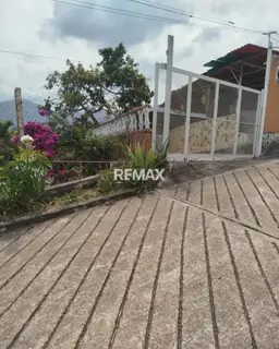 View 15