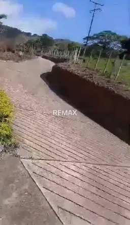 View 4