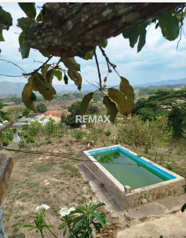 Venta de Parcela de 1,5 hectáreas en Aguirre - 9