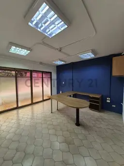 Vista 14