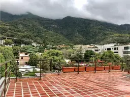 Vista 16