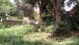 Vista 9