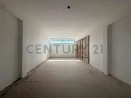 Vista 11