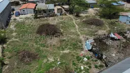 Vista 36