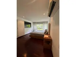 Vista 31