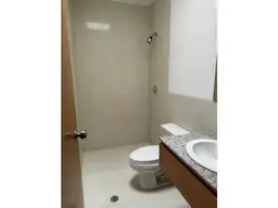 Vista 15