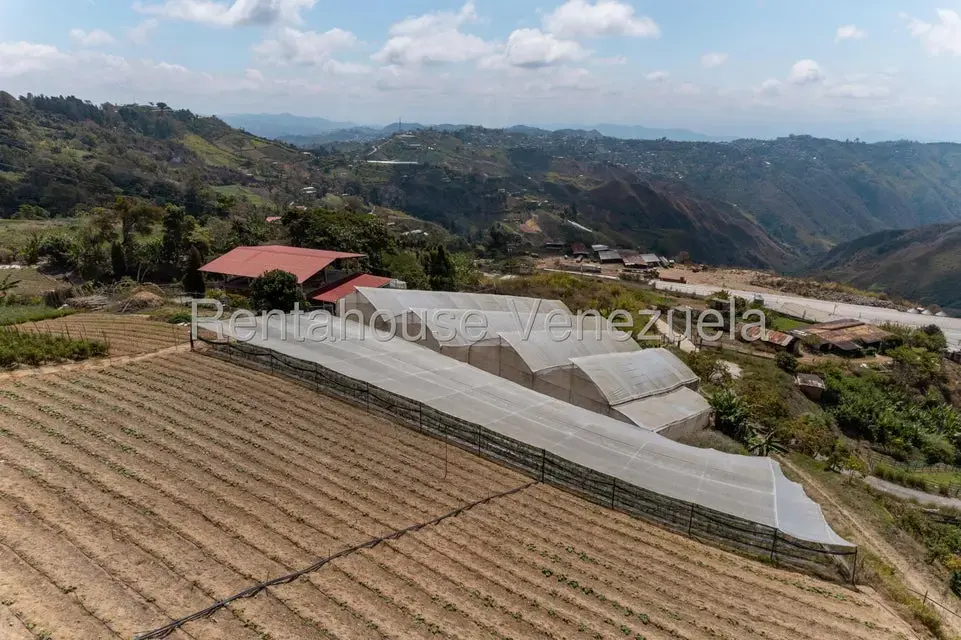 Terreno (Finca) en Venta en Municipio Guaicaipuro, Miranda - 11
