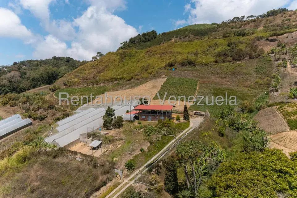 Terreno (Finca) en Venta en Municipio Guaicaipuro, Miranda - 14
