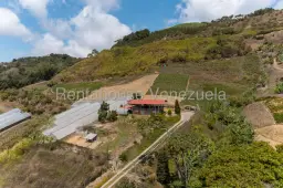 View 14