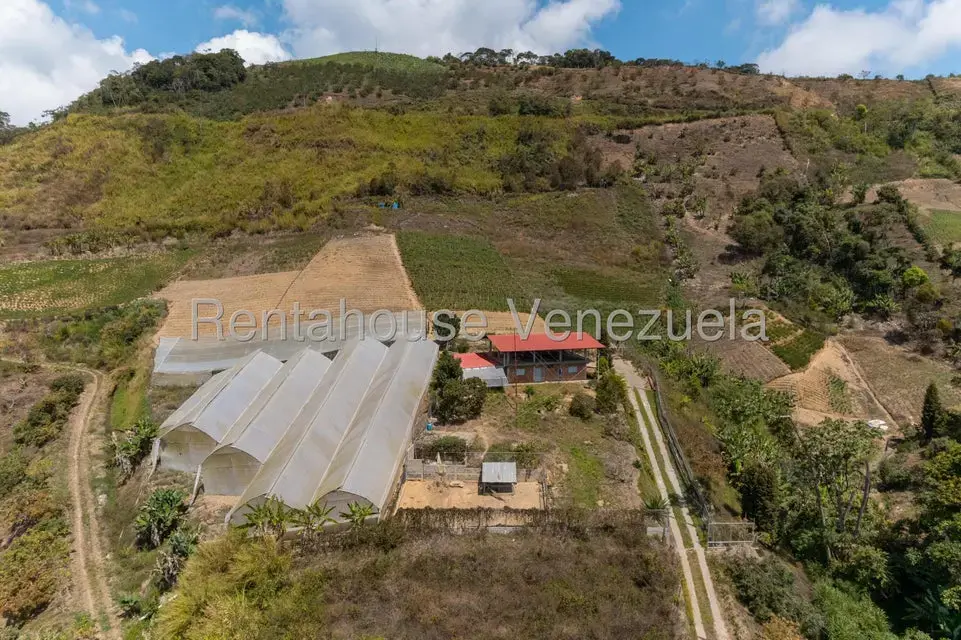 Terreno (Finca) en Venta en Municipio Guaicaipuro, Miranda - 15