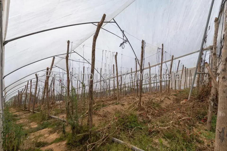 Terreno (Finca) en Venta en Municipio Guaicaipuro, Miranda - 16