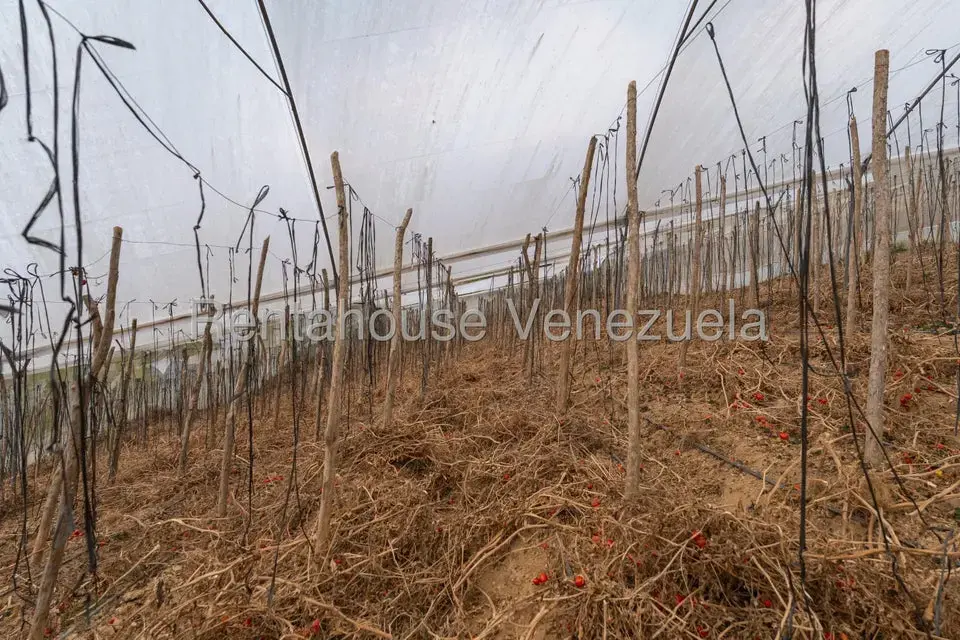 Terreno (Finca) en Venta en Municipio Guaicaipuro, Miranda - 17