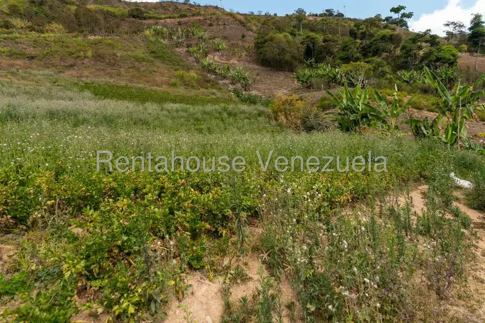 Terreno (Finca) en Venta en Municipio Guaicaipuro, Miranda - 21