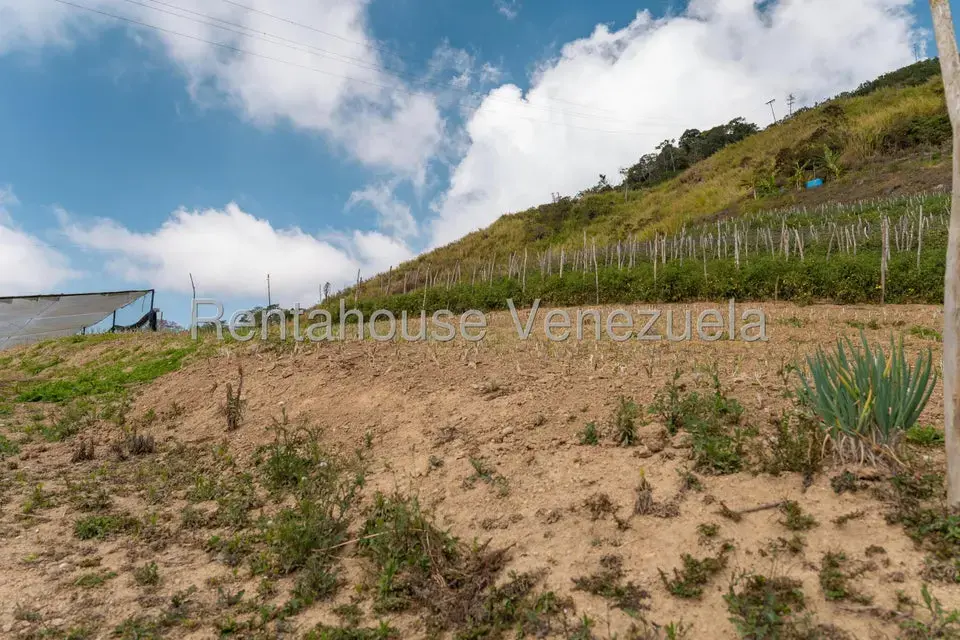 Terreno (Finca) en Venta en Municipio Guaicaipuro, Miranda - 22