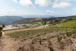 View 25