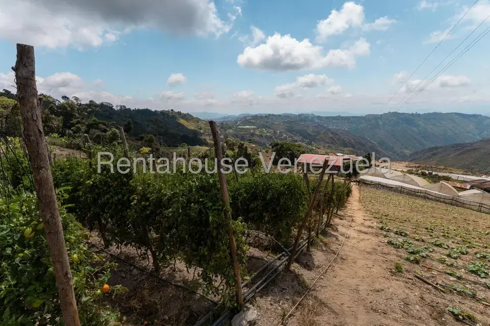 Terreno (Finca) en Venta en Municipio Guaicaipuro, Miranda - 26
