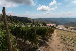 View 26