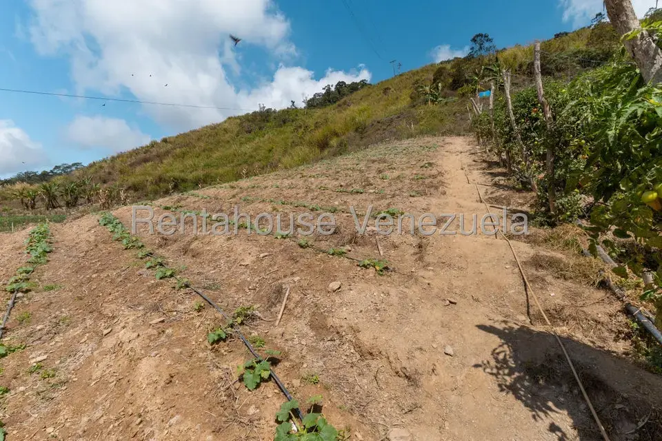 Terreno (Finca) en Venta en Municipio Guaicaipuro, Miranda - 27