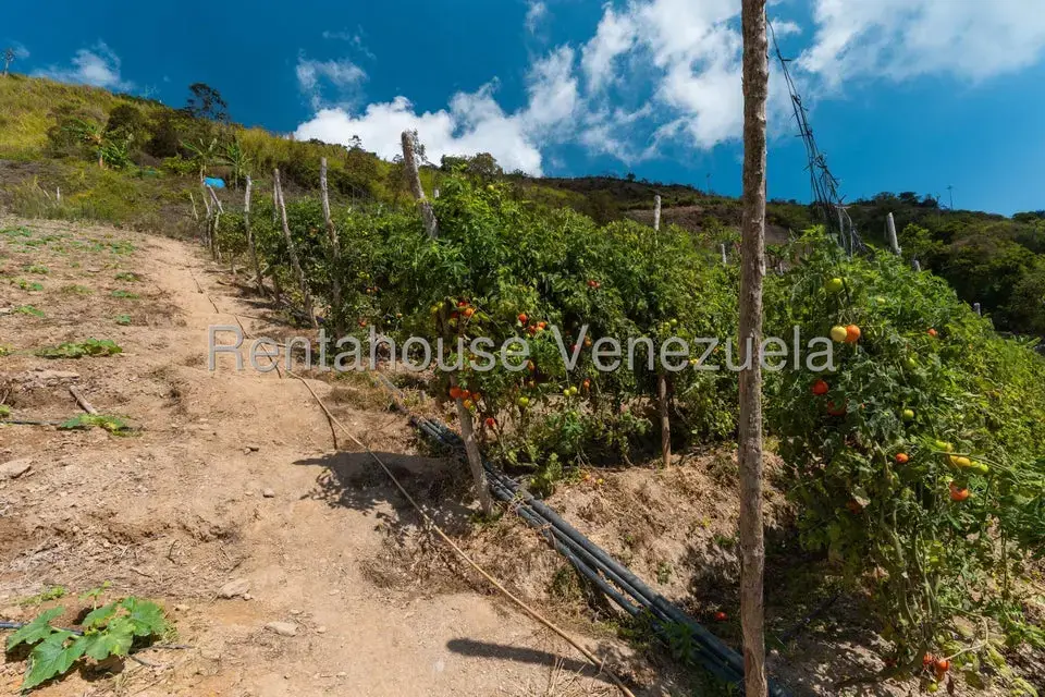 Terreno (Finca) en Venta en Municipio Guaicaipuro, Miranda - 28