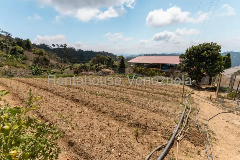 Terreno (Finca) en Venta en Municipio Guaicaipuro, Miranda - 29