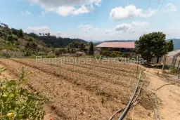 View 29