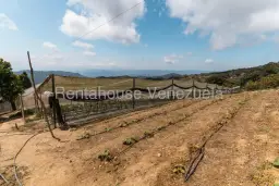 View 30